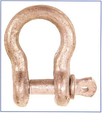 screw pin anchor shackles